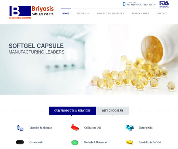 briyosis soft caps pvt ltd vadodara @ baroda web solution